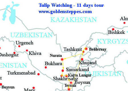 map_tulip_watching